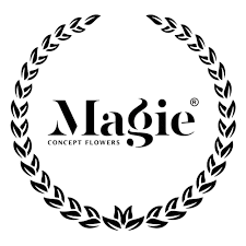Magie Concept Logo